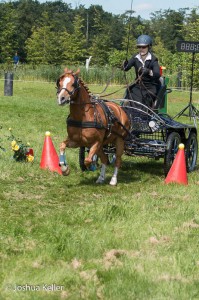 dressuur en vaardigheid  nienoord 10-8-2015  joshua keller-0291     